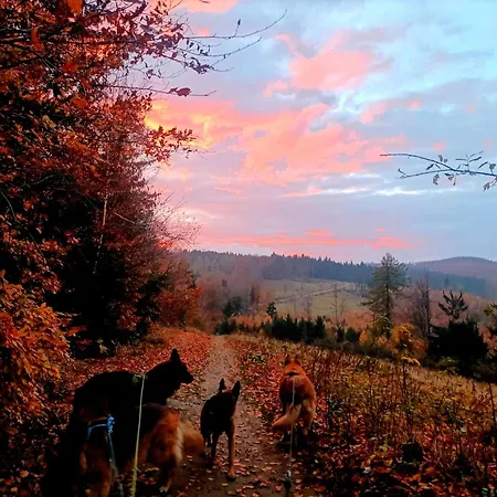 Campingplatz Baza Noclegowa 