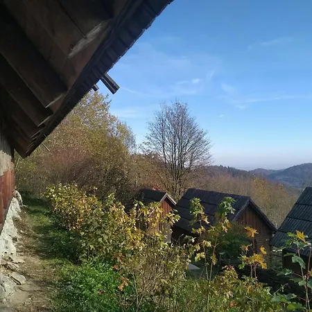 Campsite Baza Biwakowa 
