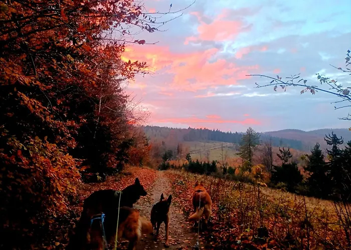 Campingplatz Baza Noclegowa 